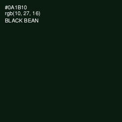#0A1B10 - Black Bean Color Image
